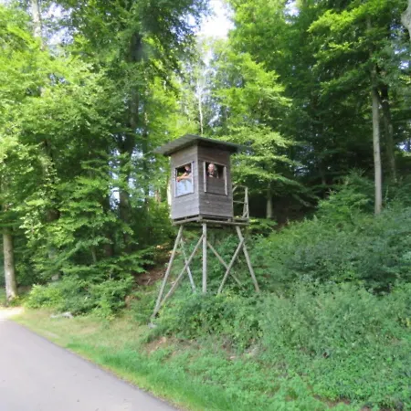 Fine Safari Tent In A Park, Adjacent To The Forest, Luxembourg At 30 Km Luxussátor Nommern